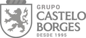 O logotipo do grupo Castlelo Borges.