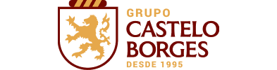 castelo borges - vLight